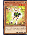 Trickstar Narkissus