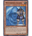 Mysterious Guard