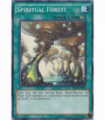 Spiritual Forest