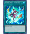 Fortune's Future