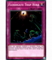 Floodgate Trap Hole