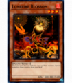 Lonefire Blossom