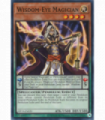 Wisdom-Eye Magician