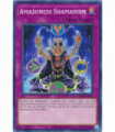 Amazoness Shamanism