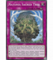 Naturia Sacred Tree