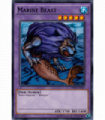 Marine Beast