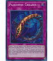 Paleozoic Canadia