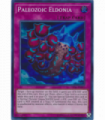 Paleozoic Eldonia