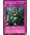 Ivy Shackles