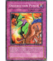 Destruction Punch