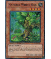 Naturia White Oak