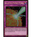 Blazing Mirror Force