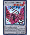 Black Rose Dragon