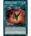 Ground Xeno