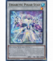 Ursarctic Polar Star