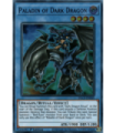 Paladin of Dark Dragon