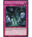 Labyrinth of Nightmare