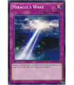 Miracle's Wake