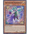 Trickstar Mandrake