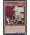 Flipping Feline