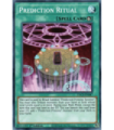 Prediction Ritual