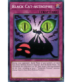 Black Cat-astrophe