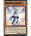 Performapal Corn