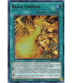 Blaze Cannon