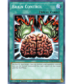 Brain Control