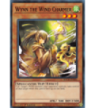 Wynn the Wind Charmer