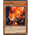 Inari Fire