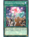 Spellbook of Knowledge