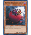 Black Dragon's Chick