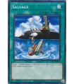 Salvage