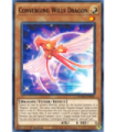 Converging Wills Dragon