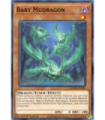 Baby Mudragon