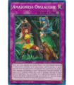 Amazoness Onslaught