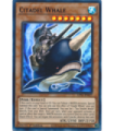 Citadel Whale