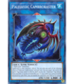 Paleozoic Cambroraster