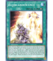 Bujincandescence