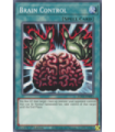 Brain Control