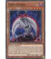 Card Guard