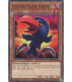 Caligo Claw Crow