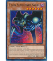 Toon Summoned Skull