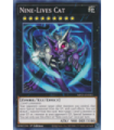 Nine-Lives Cat