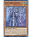 Deep Sea Sentry