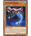 Buzzsaw Shark