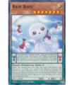 Rain Bozu