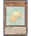 Melffy Catty