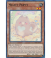 Melffy Puppy